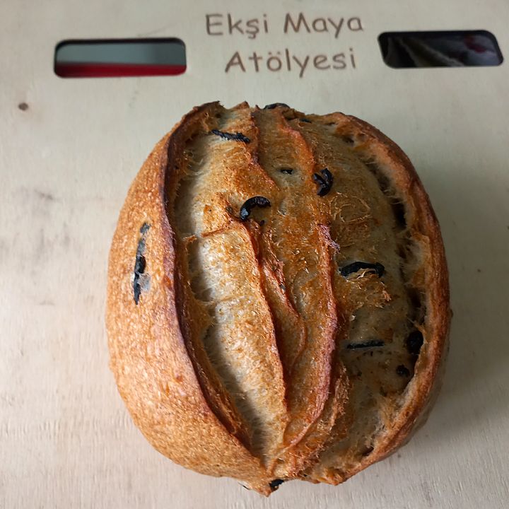 Zeytinli Kekikli ekmeği – dış görünüş